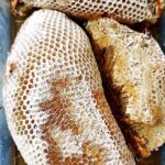 عسل طبیعی ارگانیکا