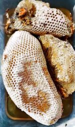 عسل طبیعی ارگانیکا